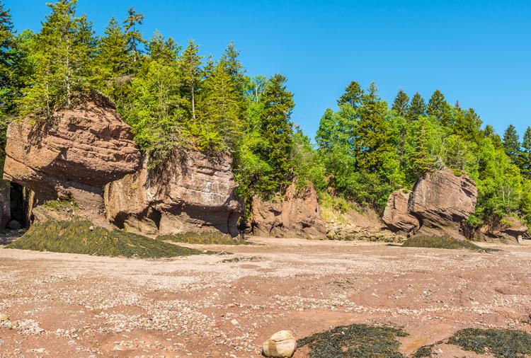 RV Camping at Canada's Fundy National Park - Cruise America