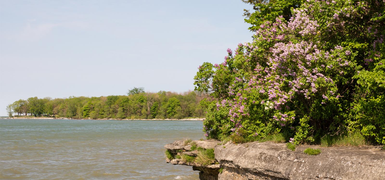 lake erie circle tour